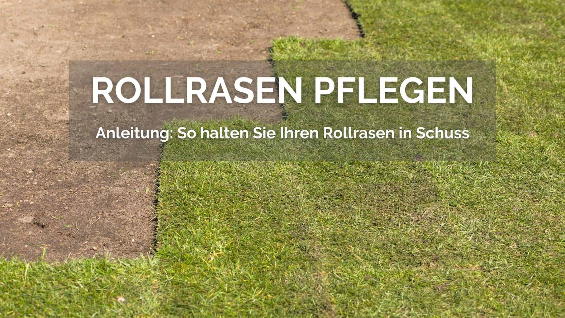 Wie Lange Dauert Es Bis Rollrasen Angewachsen Ist parkett-profis.de