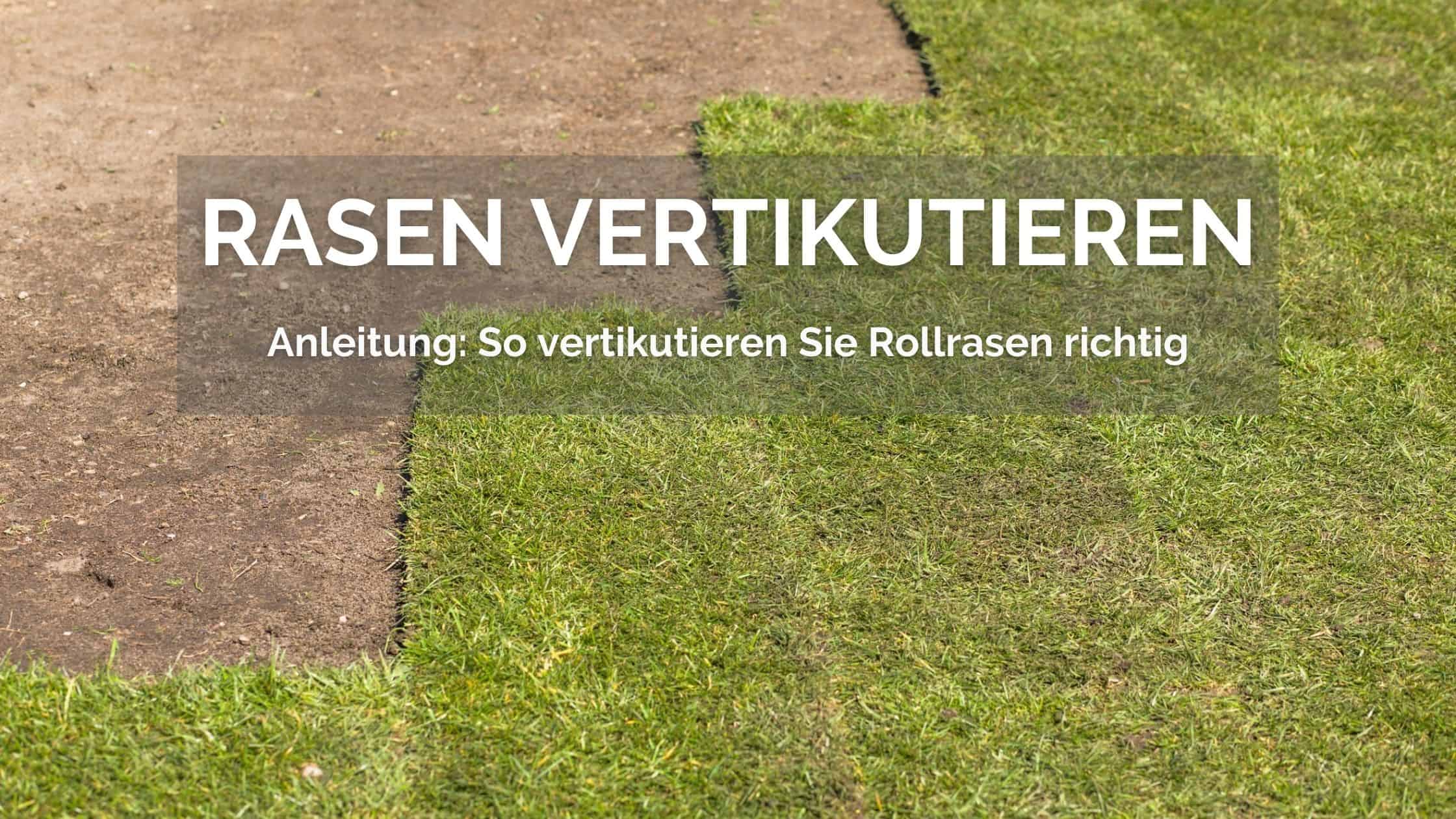 Rollrasen vertikutieren Die Anleitung für Hobbygärtner und Laien