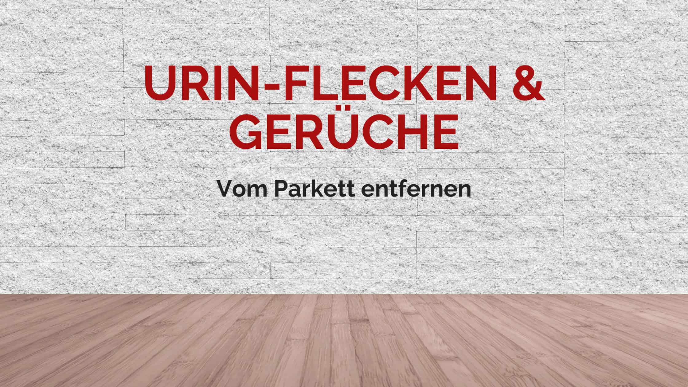 Wie Sie Flecken und Geruch von Hunde oder Katzenurin aus Parkett entfernen