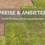 Kosten für Rollrasen pro Quadratmeter