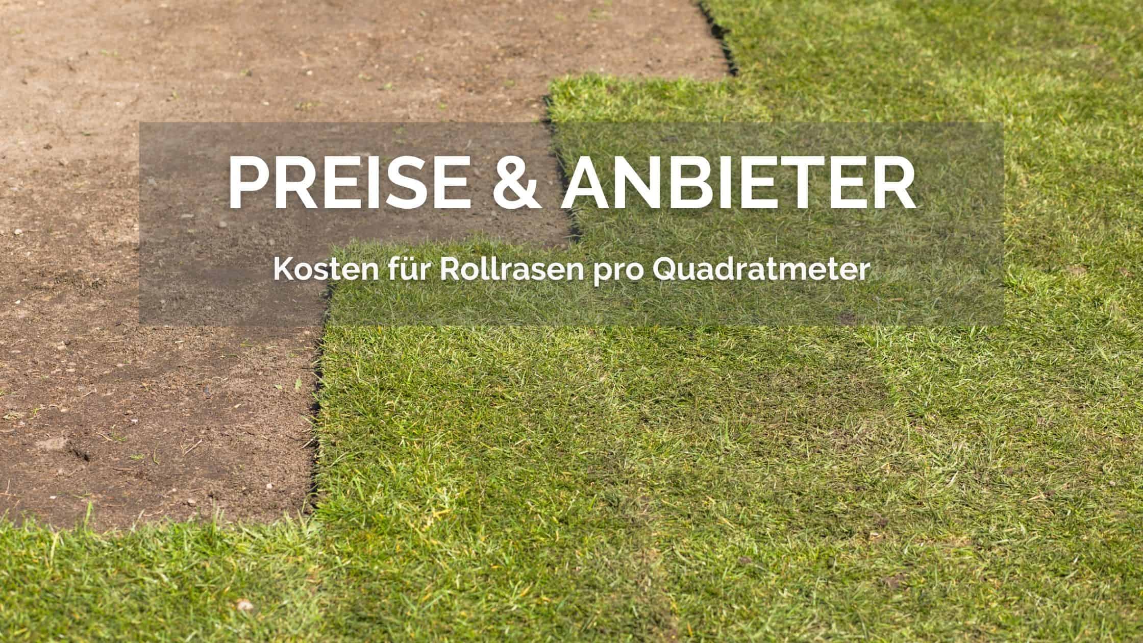 Kosten für Rollrasen pro Quadratmeter Das sind die günstigsten Anbieter