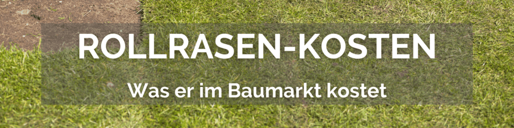 Was Rollrasen im Baumarkt kostet