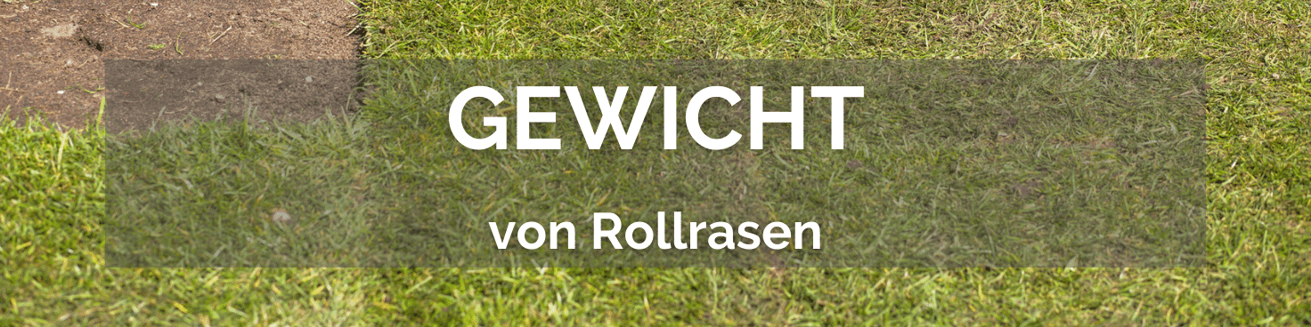 Dicke und Gewicht von Rollrasen Das sollten Sie beim Kauf beachten